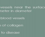 The Redness of Rosacea