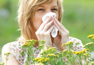10 Things About... The Immune System