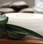 The Power of Aloe
