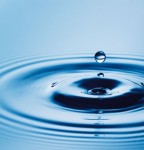 Water: Friend or Foe?