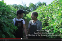 the-making-of-eminence