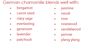 german-chamomile