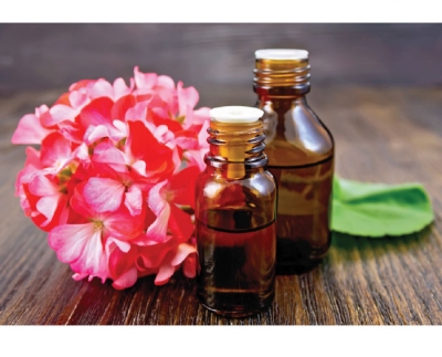 Top 6 Oils  to Use in Skin Care: Part 3
