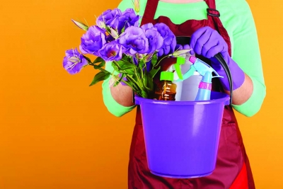 Dos and Don’ts: SPRING  CLEANING