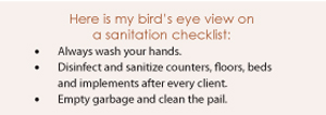 Here is my bird's eye view on  a sanitation checklist: Always wash your hands. Disinfect and sanitize counters, floors, beds  and implements after every client. Empty garbage and clean the pail.