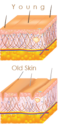 young-old-skin