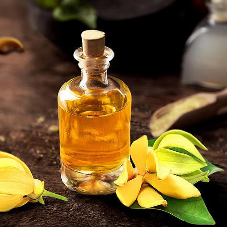 Know How to use Yang Yang Essential Oil for Your Health