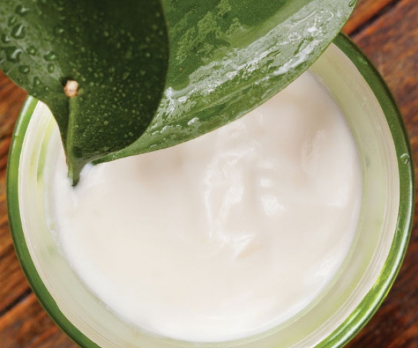 10 Things About... Topical Anti-Aging Ingredients