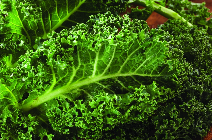Kale Yeah! A Must-Have Ingredient for Wellness and Skin Health