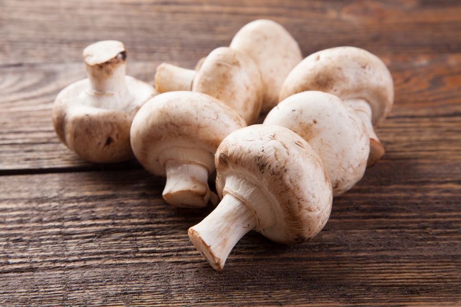 Magic Mushrooms: How to Include Mushrooms in Your Practice