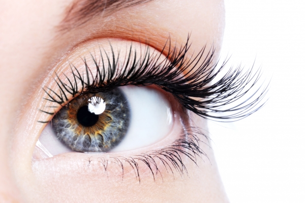 Eyelash Extensions: Enhance Your Spa’s Income with the Wow Factor!