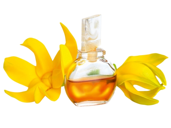 TOP 6 OILS TO USE IN SKIN CARE: PART 5