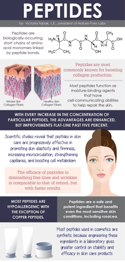 Peptides Infographic