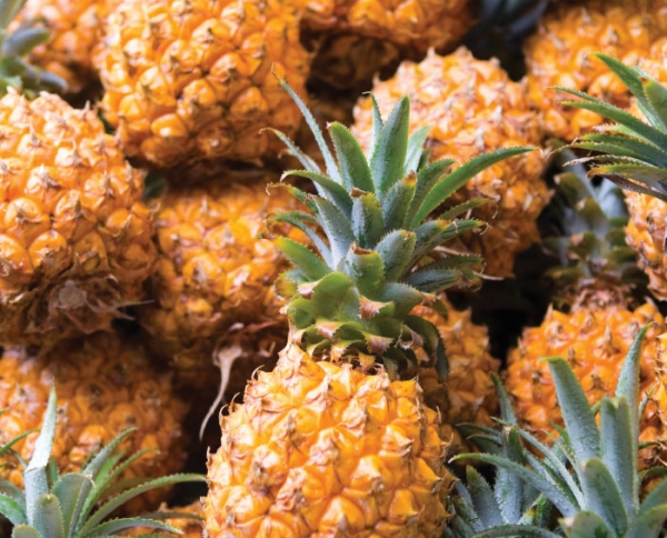 The Plentiful Benefits  of Pineapple