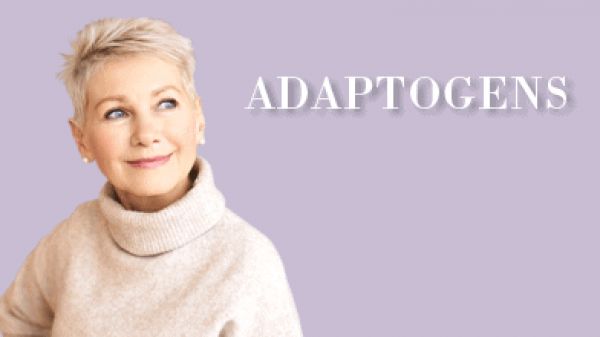 Aging and Adaptogens