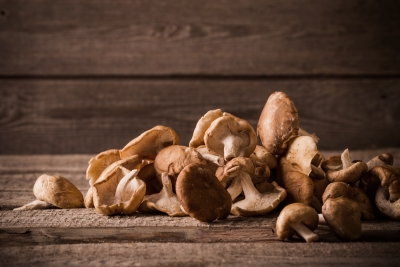 Fist-Class Fungi: Traditional Oriental Mushrooms for Skin