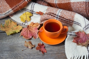 Cozy and Crisp: Quick Tips for a Fall-Ready Spa