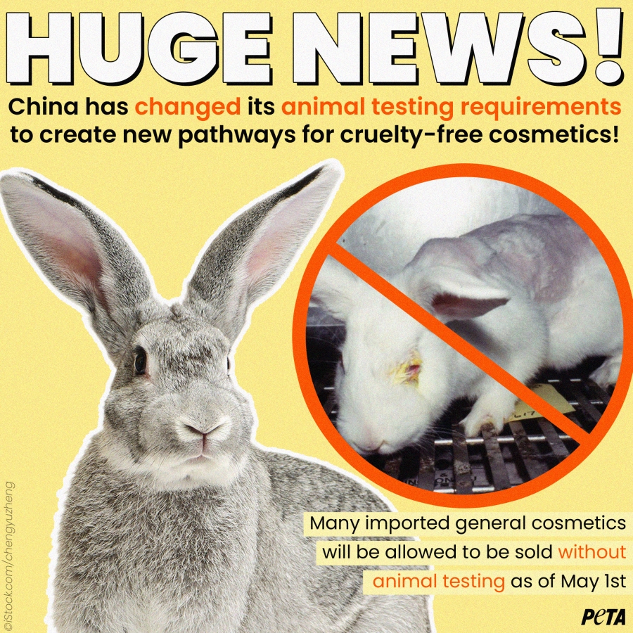 China Announces New Animal-Testing Policy for Cosmetics After PETA Push