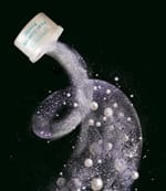 Germaine de Capuccini