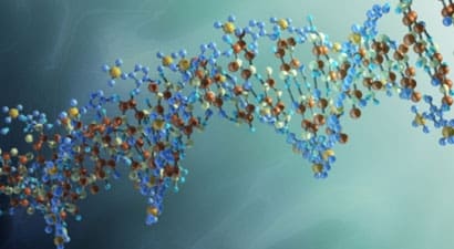 Why Stress Causes DNA Damage