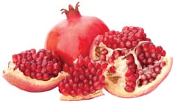 fruit-2