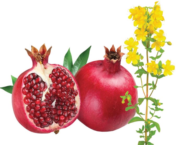 Pomegranate