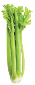 celery