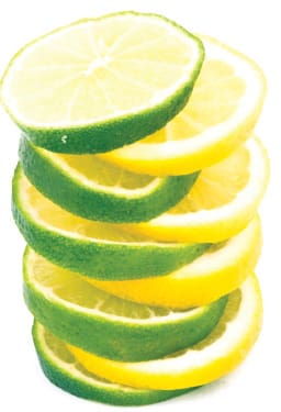 lemon-lime-slices