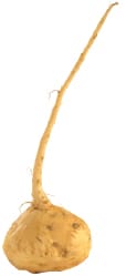 maca