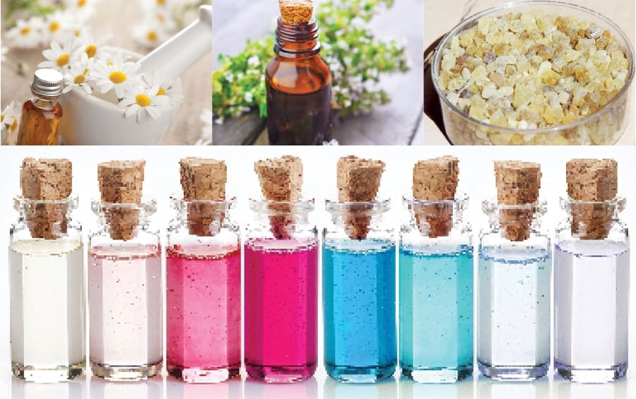 The Essentials to Fighting Breast Cancer