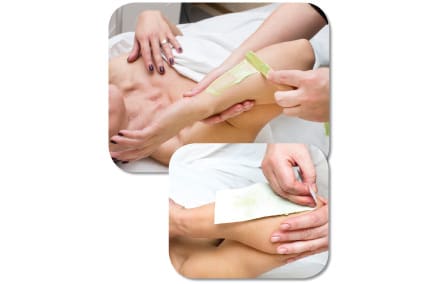 forearm