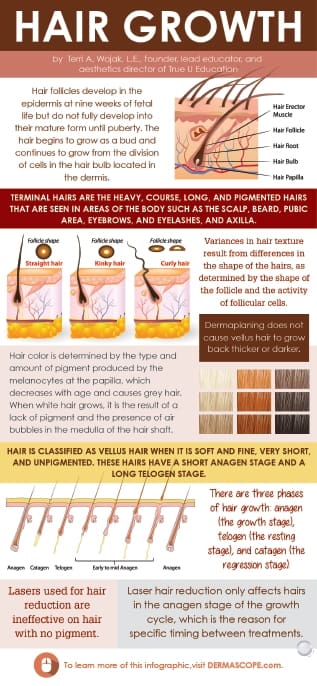 Infographic: Hair Growth
