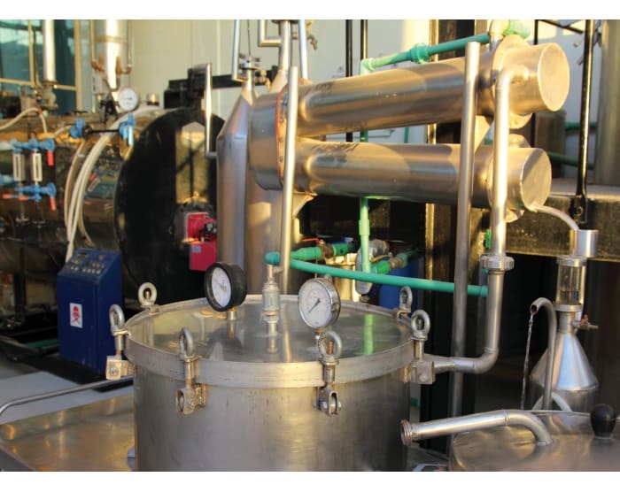 10 Things About… Essential Oils