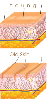 young-old-skin