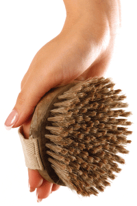brush