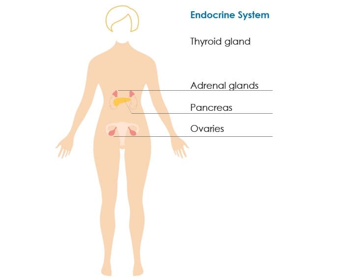 10 Things About Hormonal Disorders  and Skin Health