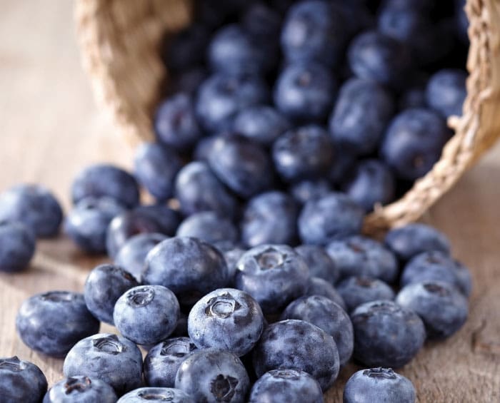 July is National Blueberry Month