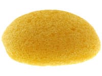 sponge