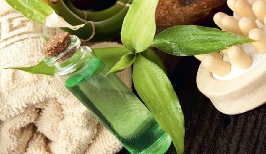 The Powerful Benefits of Tea Tree - dermascope