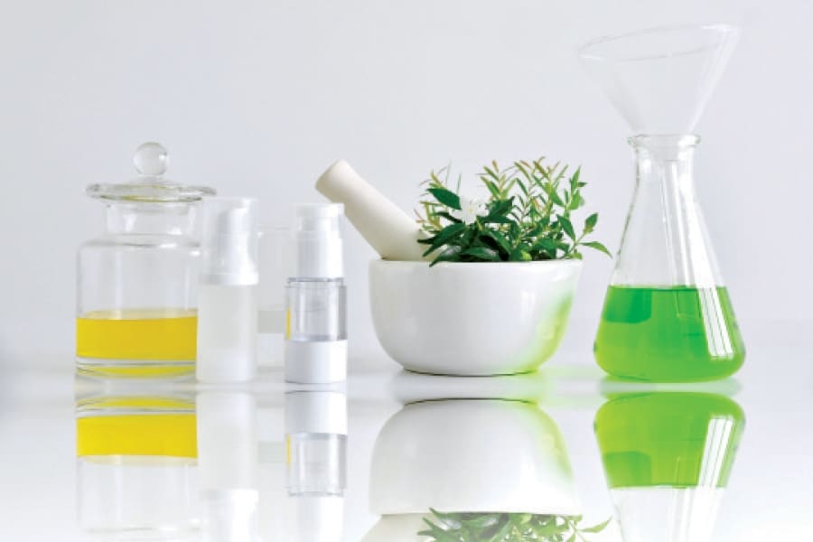 This or That Organic Versus Plant-Based