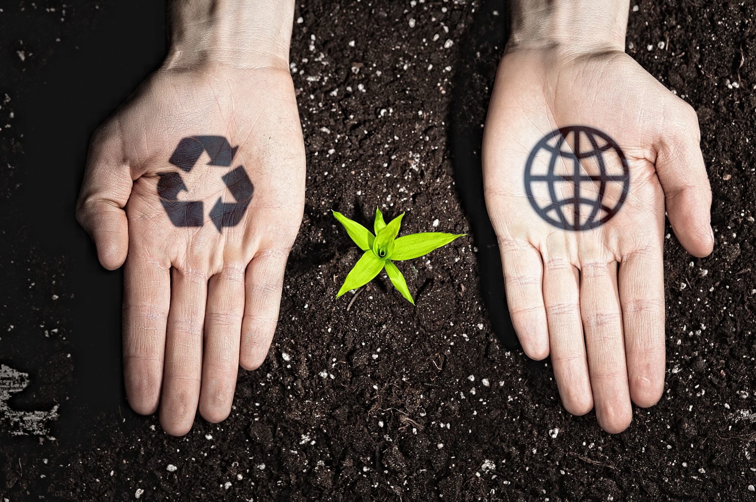 Packaging Pursuit: Corporate Responsibility & Conscious Consumerism