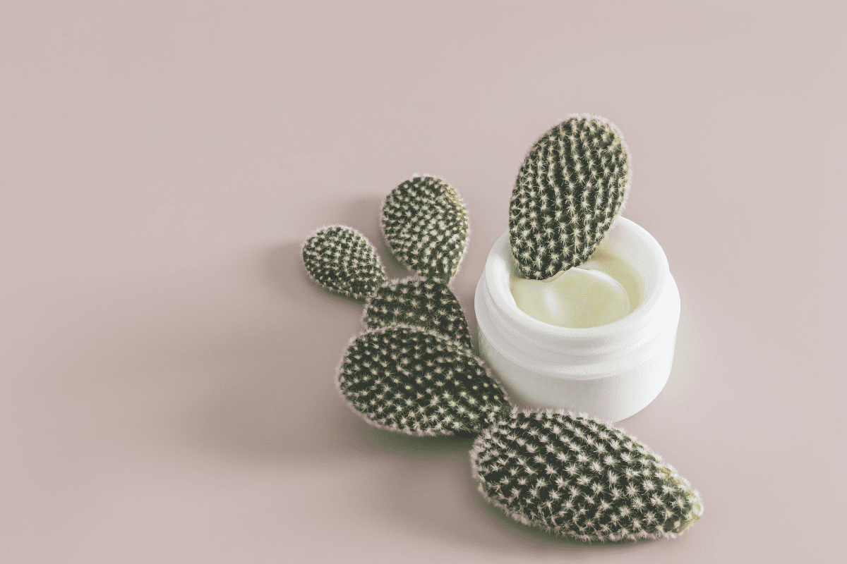 The Green Beauty Formula 