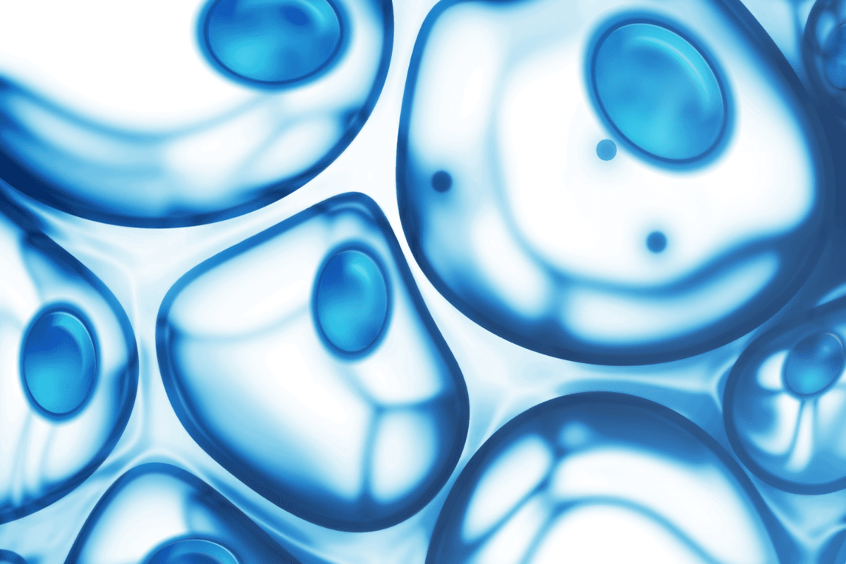 Exosomes: The Future of Regenerative Skin Care & Wellness 