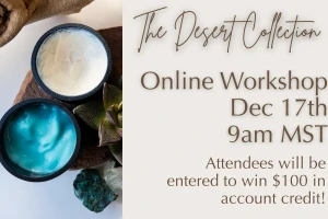 DesCollectionOnlineWorkshop